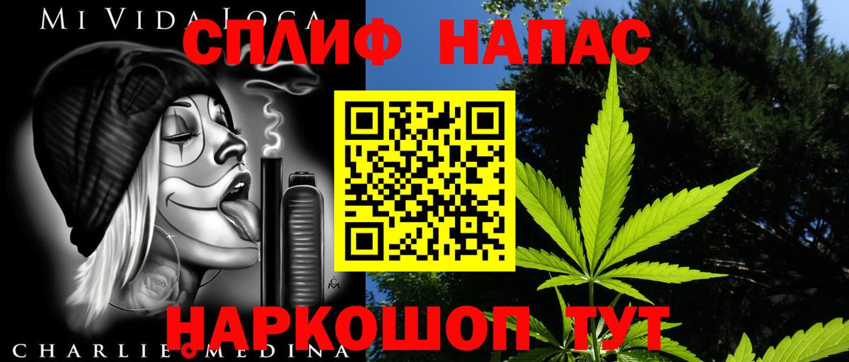Бошки Шишки планчик  МАРИХУАНА план  Вход с VPN  Марихуана THC 21%  Тихорецк 